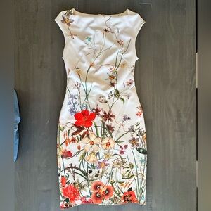 Zara Floral sheath Dress Small